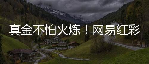 真金不怕火炼！网易红彩专家成绩全透明决策更自主