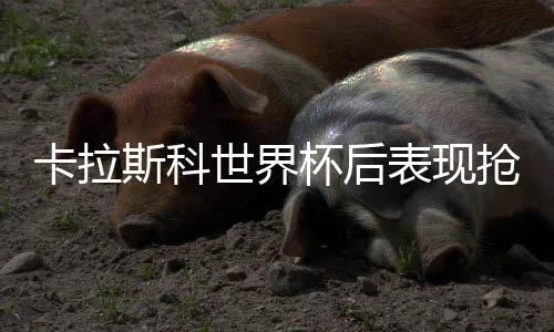 卡拉斯科世界杯后表现抢眼 或继续入选比利时国家队