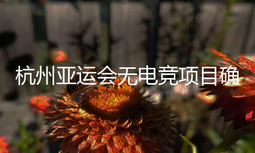 杭州亚运会无电竞项目确定了吗 项目设置37个还能加吗