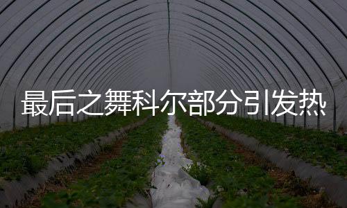 最后之舞科尔部分引发热议 乔丹拳打科尔怎么回事