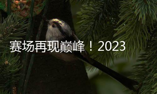 赛场再现巅峰！2023新日电动车携手女超联赛共创新传奇！