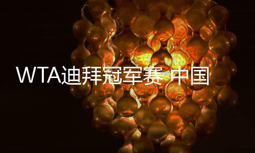 WTA迪拜冠军赛 中国两对组合闯进双打8强